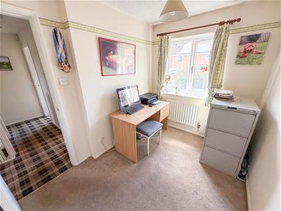 Picture 21